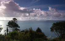 Looking out the Kiwi Office window